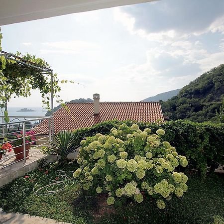 The View Apartment 3 Petrovac المظهر الخارجي الصورة